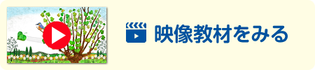映像を見る