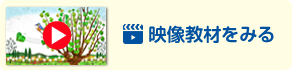 映像を見る